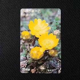 日本田村电话卡20～福寿草