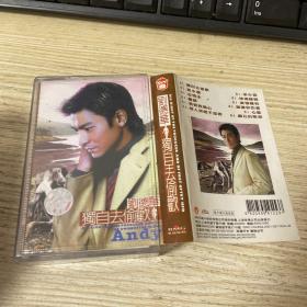 磁带  刘德华 独自去偷欢 附歌词