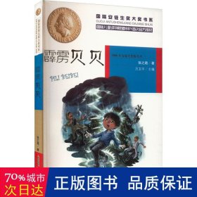 霹雳贝贝 儿童文学 张之路