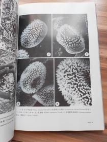 植物病原真菌超微形态
