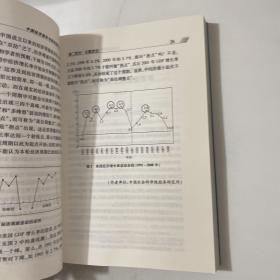 中国经济增长与经济周期.2008