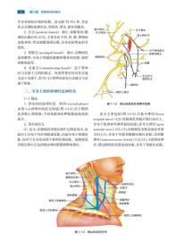 周围神经外科学