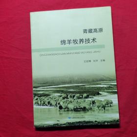 青藏高原绵阳牧羊技术