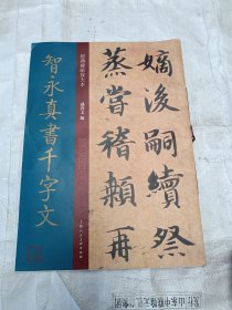 经典碑帖放大本——智永真书千字文