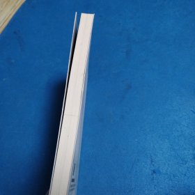 资本主义新论：当前争论的分析与综合（一版一印，仅印5000册，品佳）