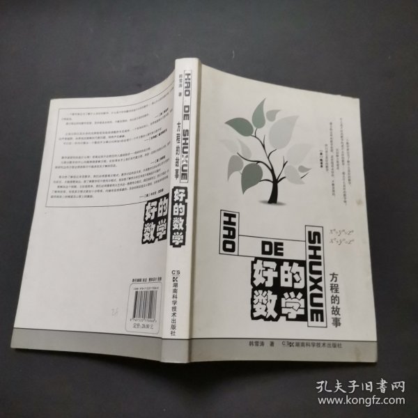 好的数学：方程的故事