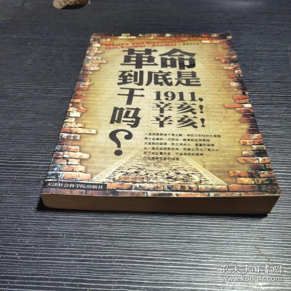 革命到底是干吗？：1911，辛亥！辛亥！