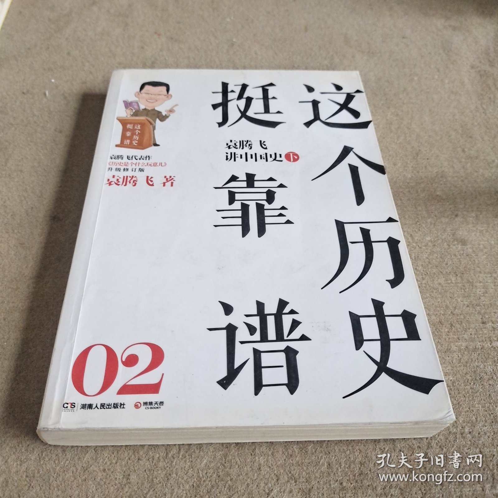 这个历史挺靠谱2：袁腾飞讲中国史·下