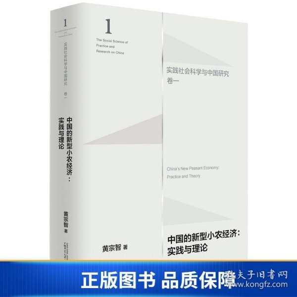 中国的新型小农经济：实践与理论（实践社会科学与中国研究·卷一）