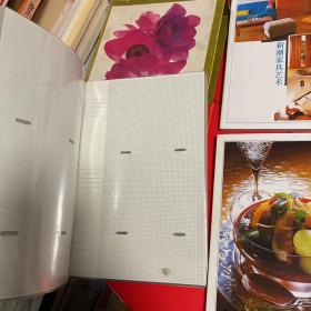 现代生活指导让您的家庭生活进入最佳状态 4本书+影集1本
