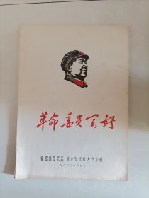 68年，革命委员会好（河南商业厅革命领导小组）成立曁庆祝大会，专刊