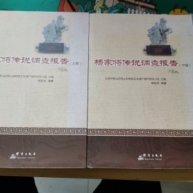杨家将传说调查报告(全2册)