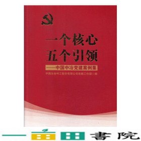 一个核心五个引领：中国中治党建案例集