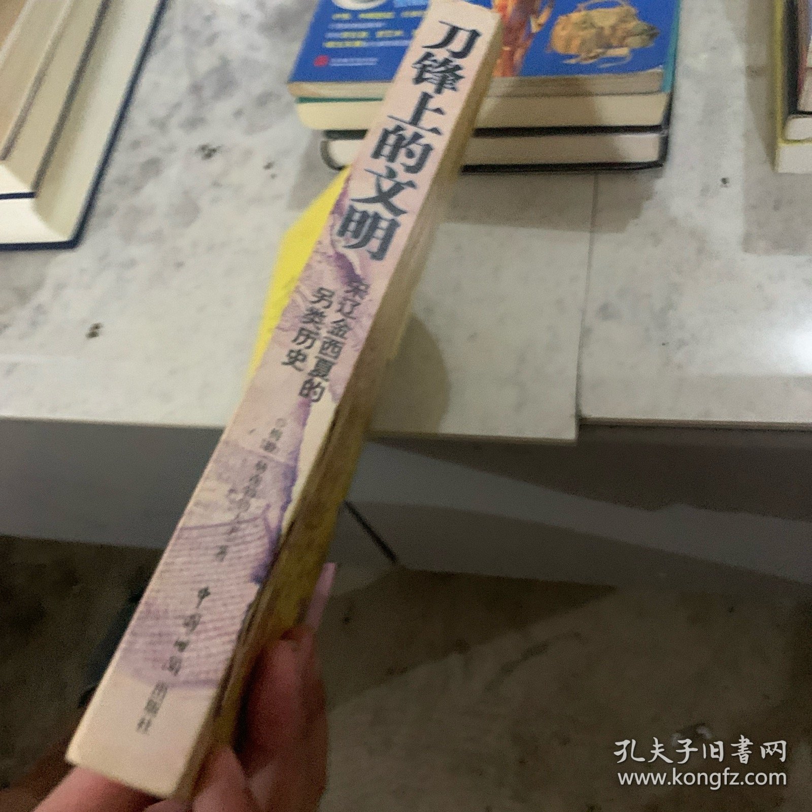 刀锋上的文明：宋辽金西夏的另类历史