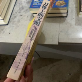 刀锋上的文明：宋辽金西夏的另类历史