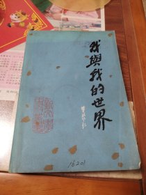 我与我的世界