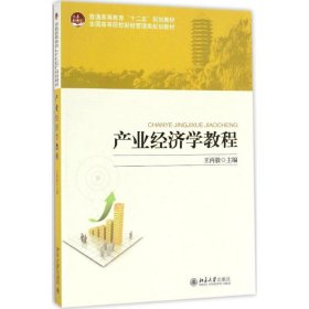 正版 产业经济学教程 王丙毅 主编 北京大学出版社