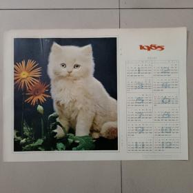 1985年历画：花猫