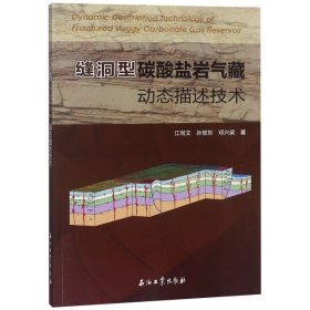 缝洞型碳酸盐岩气藏动态描述技术