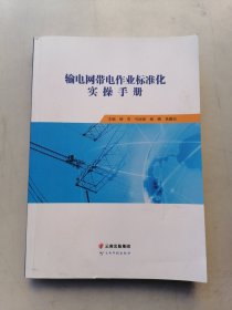 输电网带电作业标准化实操手册