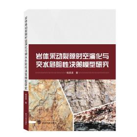 岩体采动裂隙时空演化与突水危险性决策模型研究 武汉大学出版社 杨滨滨 著 著 冶金、地质