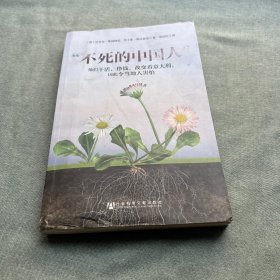 “不死的中国人”：他们干活，挣钱，改变着意大利，因此令当地人害怕