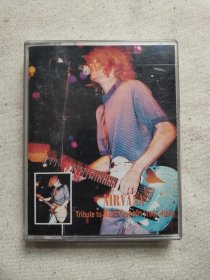 Nirvana 涅槃乐队磁带 美国摇滚乐队2盘装