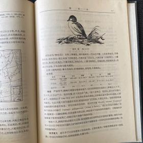 中国动物志鸟纲第二卷雁形目