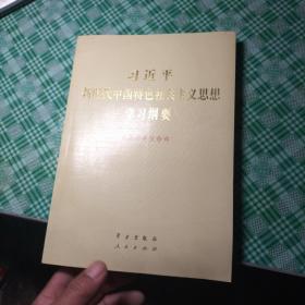 习近平新时代中国特色社会主义思想学习纲要