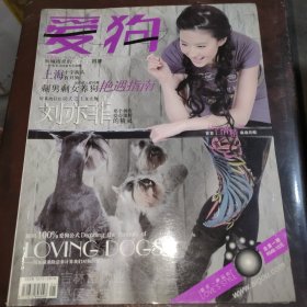 爱狗2008 4 杂志期刊