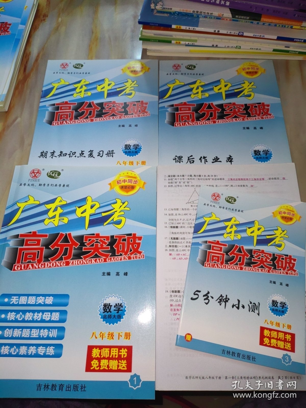 广东中考高分突破 初中同步课堂必备 数学八年级下册【含配套如图】教师用书