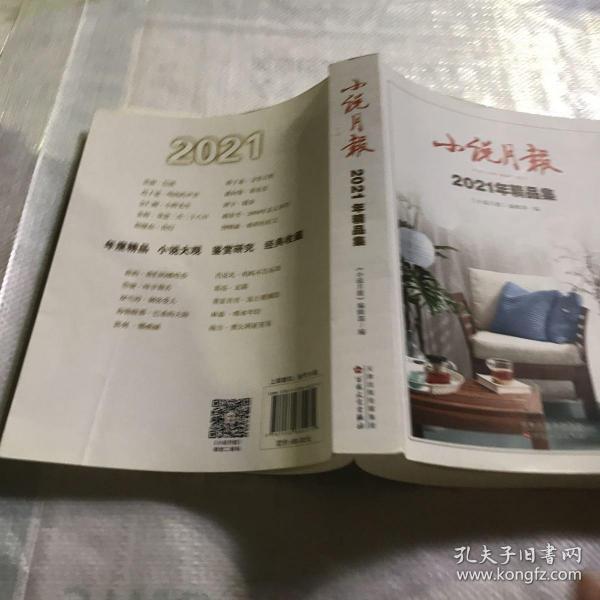 小说月报2021年精品集