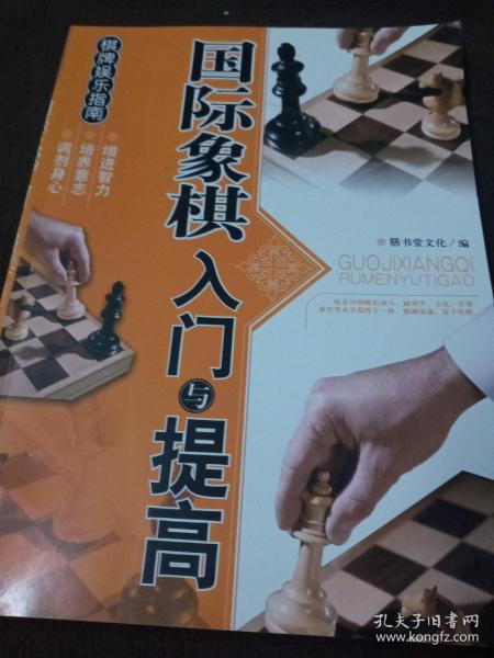 棋牌娱乐指南：国际象棋入门与提高