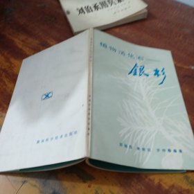植物活化石——銀杉