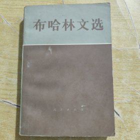 布哈林文选中册