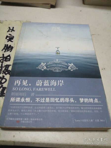 再见，蔚蓝海岸