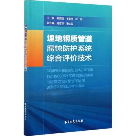 埋地钢质管道腐蚀防护系统综合评价技术