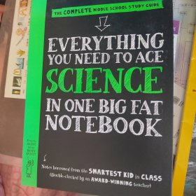 big fat notebook