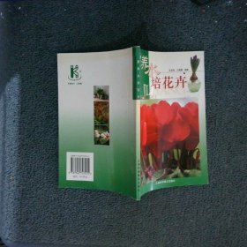 家养水培花卉