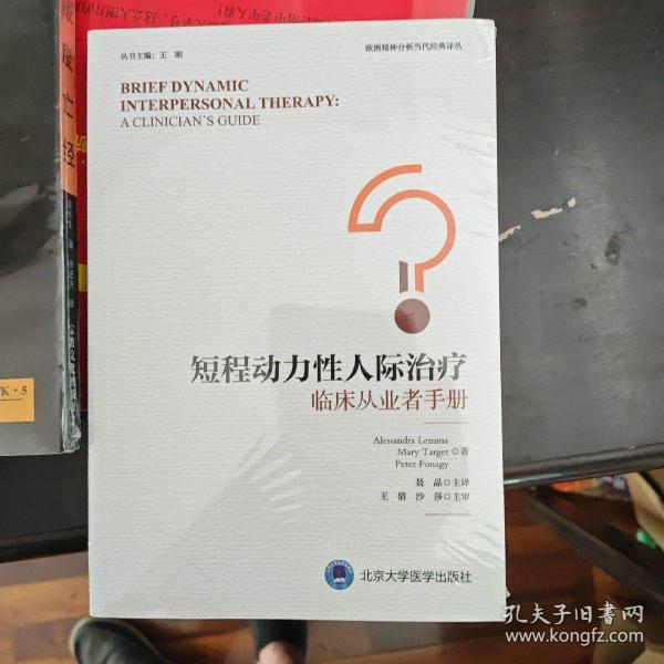 短程动力性人际治疗——临床从业者手册