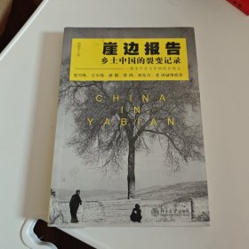 崖边报告：乡土中国的裂变记录