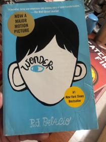 外语原版书：《Wonder奇迹男孩 英文原版》