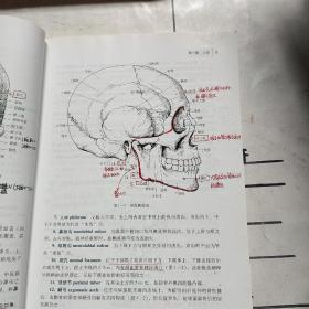 局部解剖学（第九版）/全国中医药行业高等教育“十二五”规划教材·全国高等中医药院校规划教材