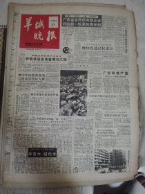 羊城晚报 1990年8月31日 八版全，折叠发货