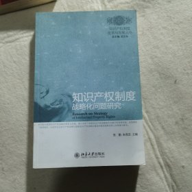 知识产权制度战略化问题研究（库存正版）