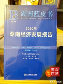 湖南蓝皮书：2020年湖南经济发展报告