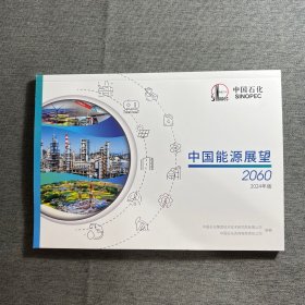 中国能源展望2060 （2024年版）