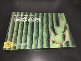 重叠影像 吴滨小说选