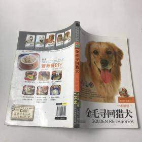 金毛寻回猎犬