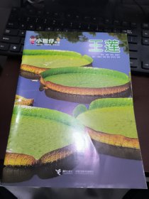 小聪仔 科普 王莲